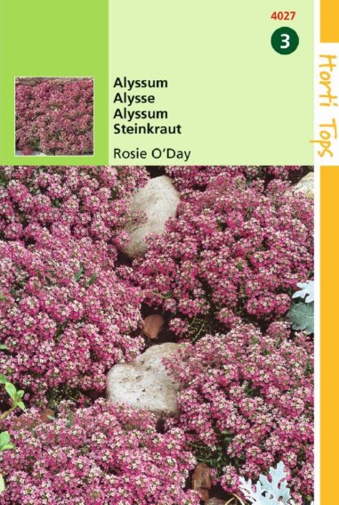 Sweet alyssum Rosie O Day (Lobularia) 1250 seeds HT